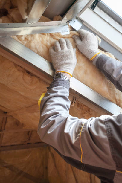 Best Types of Insulation in Lemoore Station, CA