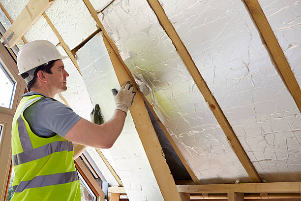 Best Types of Insulation in Lemoore Station, CA